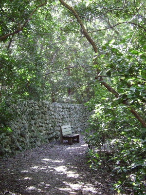 Le parc d'état botanique Dagny Johnson Key Largo Hammock présente l'un des plus grands parcelles de hamacs de bois dur tropical des États-Unis aux États-Unis.